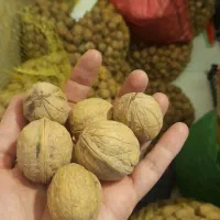 گردو|خوردنی و آشامیدنی|تهران, اتحاد|دیوار