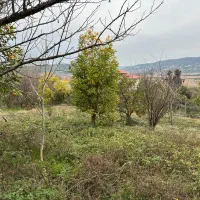 زمین-300-متری-دوبله-مجوز-گردشگری-لفور