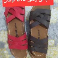 کیف و دمپایی|کیف، کفش، کمربند|بندر کنگان, |دیوار