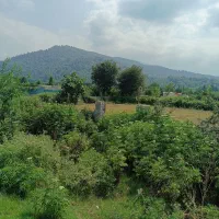 زمین 600 متری شکار بر اصلی توسکستان|فروش زمین و ملک کلنگی|گرگان, |دیوار