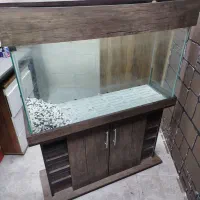 آکواریوم|کلکسیون و سرگرمی|پردیس, فاز ۱|دیوار