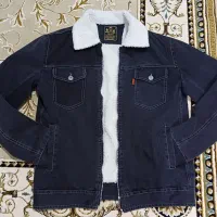 کت لی داخل خزدار