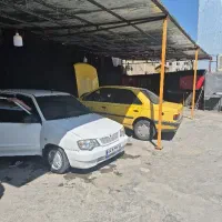 استخدام نیروی کار کارواش
