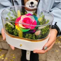 باکس لونا سفید و مشکی گل رز جاودان ( جاویدان )|گل و گیاه طبیعی|تهران, میدان ولیعصر|دیوار