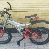 دو عدد دوچرخه