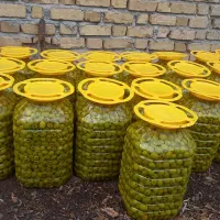 زیتون طارم خرده و عمده|خوردنی و آشامیدنی|رشت, لاکان شهر|دیوار