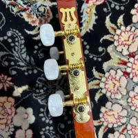 گیتار az310C|گیتار، بیس، امپلیفایر|چهارباغ, |دیوار