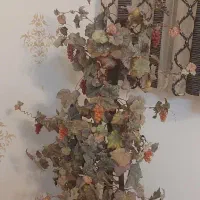 سمساری|حراج|بیرجند, |دیوار