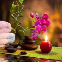 تراپی و ماساژ حرفه‌ای