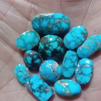 نیشابوری طبیعی