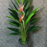 پخش درخت های مصنوعی