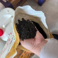 کود کشاورزی به قیمت کمپانی با تکنولوژی کانادا