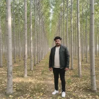 صنوبر نیگرا اردبیل، مقاوم به سرما و مناطق کوهستانی