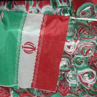 پرچم کاغذی، پرچم دستی، ریسه پرچم، پرچم ایران سرچوب|عمدهفروشی|تهران, دانشگاه شریف|دیوار