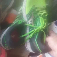 فقط یکجا|کیف، کفش، کمربند|مرودشت, ثبت احوال|دیوار