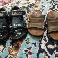 کفش|کیف، کفش، کمربند|برازجان, |دیوار