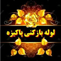 لوله بازکنی تضمینی (بافنرجداگانه)سراسرشهر|خدمات پیشه و مهارت|نیشابور, هفده شهریور|دیوار