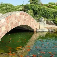 سرایدار باغبان