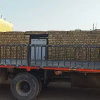 خاور بغل باز شو