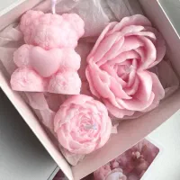 شمع  دکوراتیو و تزیینی|صنایع دستی و سایر لوازم تزئینی|تهران, مینای جنوبی|دیوار