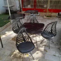 میز و صندلی Afra61|میز و صندلی غذاخوری|مشهد, ویلاشهر|دیوار