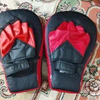 میت بوکس وشو کاراته تکواندو