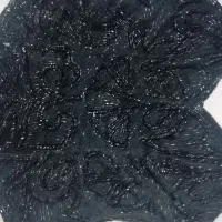 تاپ سنگدوزی|لباس|طرقبه, |دیوار