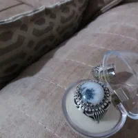 شجر زیبا
