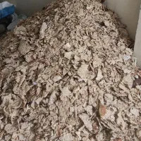 نان خشک خشک بدون کپک