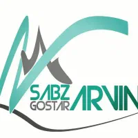 نیروی ساده کار