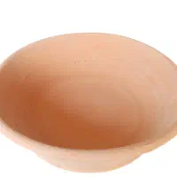 جاتخم کبوتر