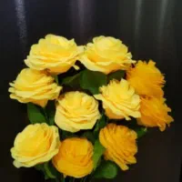 گل مصنوعی|گل مصنوعی|رشت, جهاد|دیوار