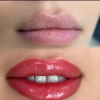 آرایش دائم میکرو شیدلب ریمو ابرو (تتو بدن )|خدمات زیبایی و سلامت|تهران, حر|دیوار