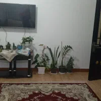 اقامتگاه قاسم نژاد|اجارهٔ کوتاهمدت آپارتمان و سوئیت|چابکسر, |دیوار