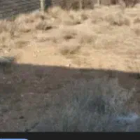 فروش-زمین-بلوار-ولایت-وزیر-اباد-خیابان-شهید-ظهرابی