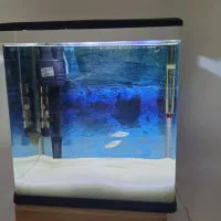 آکواریوم شرکتی در حد نو سالم