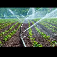 کود آلی کشاورزی