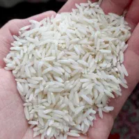 برنج هاشمی محموداباد