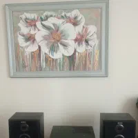 سیستم خانگی سونی