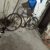 دوچرخه  فنیکس|دوچرخه، اسکیت، اسکوتر|اهواز, منبع اب|دیوار