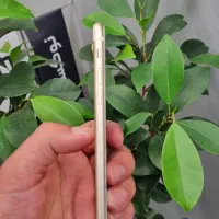 آیفون 7 پلاس iphone 7 plus.فروخته شد|موبایل|تهران, جردن|دیوار
