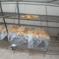 فردار نان فانتزی