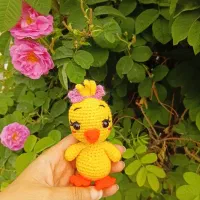 عروسک بافتنی جوجه۱۰۰ت هاپو ۵۰۰ت