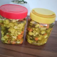 سالاد فصل و ترشی خانگی|خوردنی و آشامیدنی|پاکدشت, شهرک امام رضا|دیوار