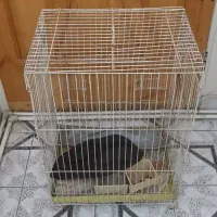 قفس پرنده