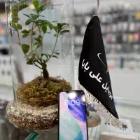 12pro max|موبایل|قم, چهل درخت|دیوار