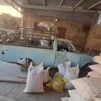 فروش پیکان بار