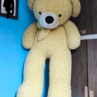 عروسک خرس دومتری