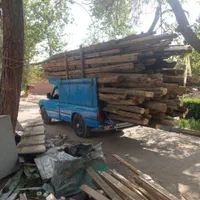 خرید وبرش چوب|خدمات باغبانی و درختکاری|بیرجند, |دیوار