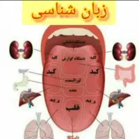 آموزش تشخیص بیماری‌ها از روی زبان ودرمان آنها
